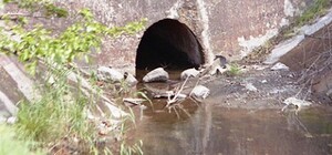 ОГА  обещает решить проблему стоков Бердянска