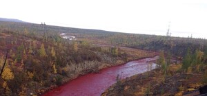 Смога нам мало: в Запорожье в реку слили токсичные отходы