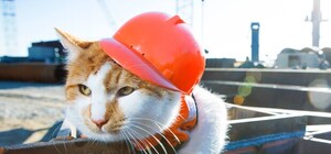 Это технология такая: на Левом берегу положили новый асфальт, но забыли поменять трубы