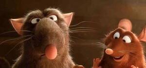 Видеофакт: в Харькове продают 