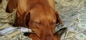 Куда пойдут деньги: в Киевсовете презентовали бюджет столицы на 2020 год