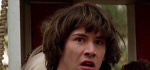 Неожиданно: на пляж под Одессой море вынесло корову