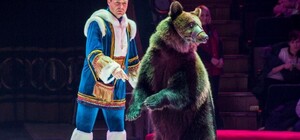 Несмотря на решение суда: одесский цирк продолжает эксплуатировать животных