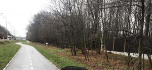 Фотофакт: на велодорожке в Харькове заметили кабана