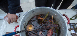 За особливим рецептом: на площі Ринок львів'ян і туристів пригощатимуть супом із шишок