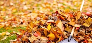 В Запорожье будут обменивать мусор на подарки: подробности