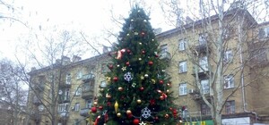 В Шевченковском районе  появится 11 новогодних елок