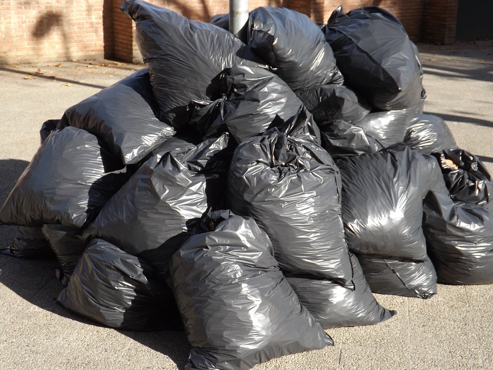 Из центра Запоожья вывезли более 3 тонн мусора / фото: pixabay