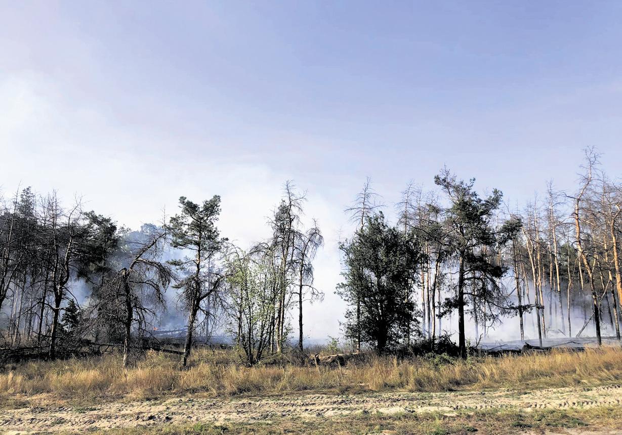 Скандальная стройка на Лесном: в 