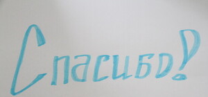 Запорожская молодежь сказала «Спасибо»