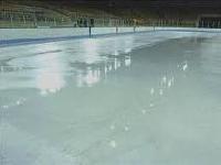 Судьбу запорожской ледовой арены решат уже послезавтра
Фото  meria.zp.ua 