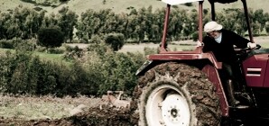 Пенсионеры первыми распродадут землю по-дешевке