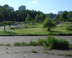 Парк Победы приведут в порядок
Фото vgorode.ua