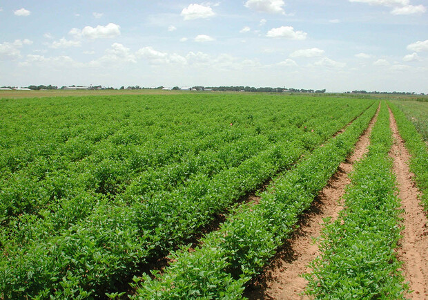 Справочник - 1 - "Союз Владельцев Земли"