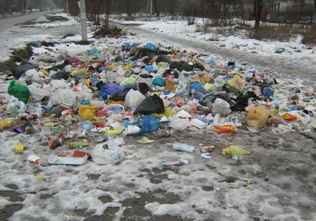 За грязь и мусор в городе предлагают штрафовать.
Фото vgorode.ua