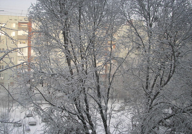 В выходные в городе будут "царствовать" мороз и метели
Фото vgorode.ua