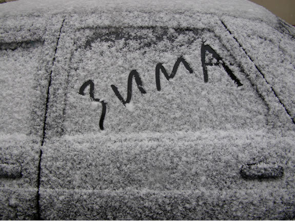 Зима порадует запорожцев не снегом, так солнцем.
Фото aif.ru.