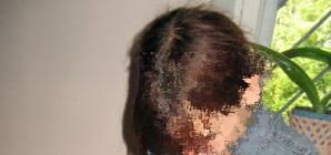 Неделя в Запорожье: 