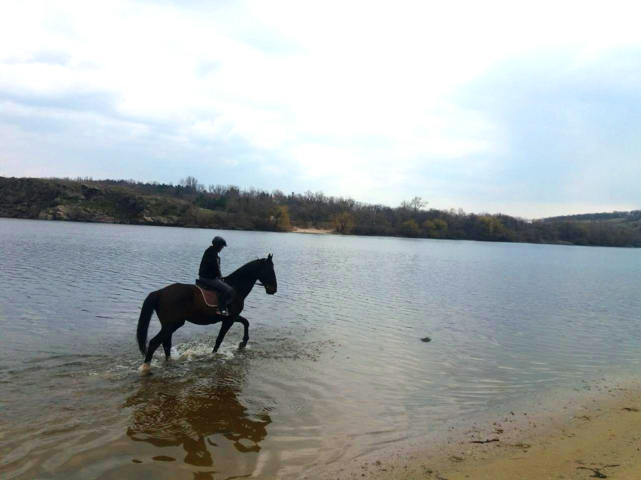 Конные прогулки в Запорожье фото 2 1