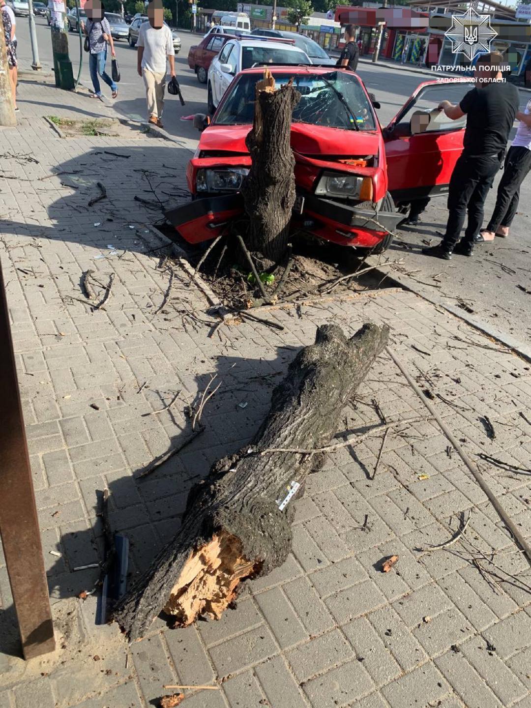 Від постраждалих врятувало дерево –