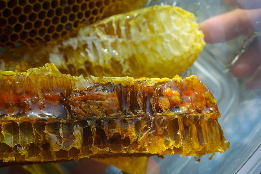 Ось такий був мед- фото: facebook.com/ngu.south