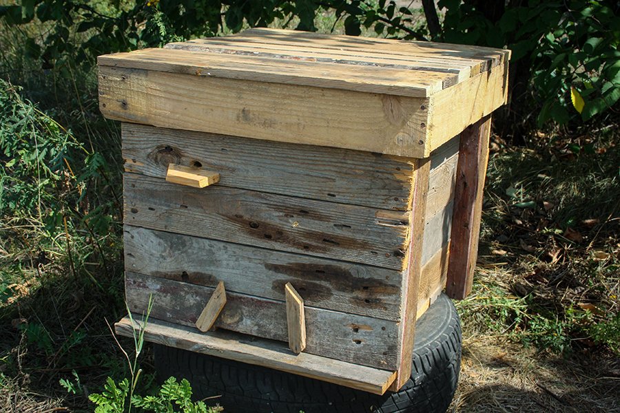 Нацгвардієць зробив два вулики