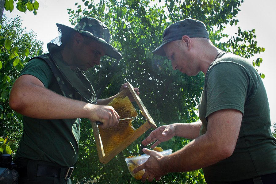 Нацгвардієць створив пасіку