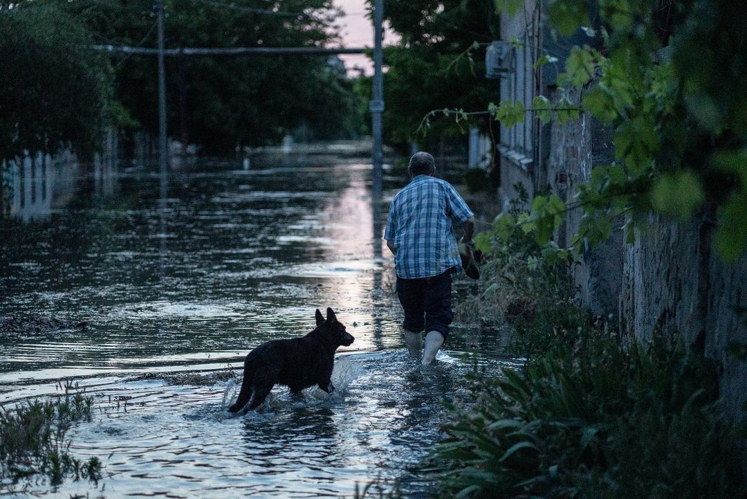 Наслідки підриву Каховської ГЕС &ndash;