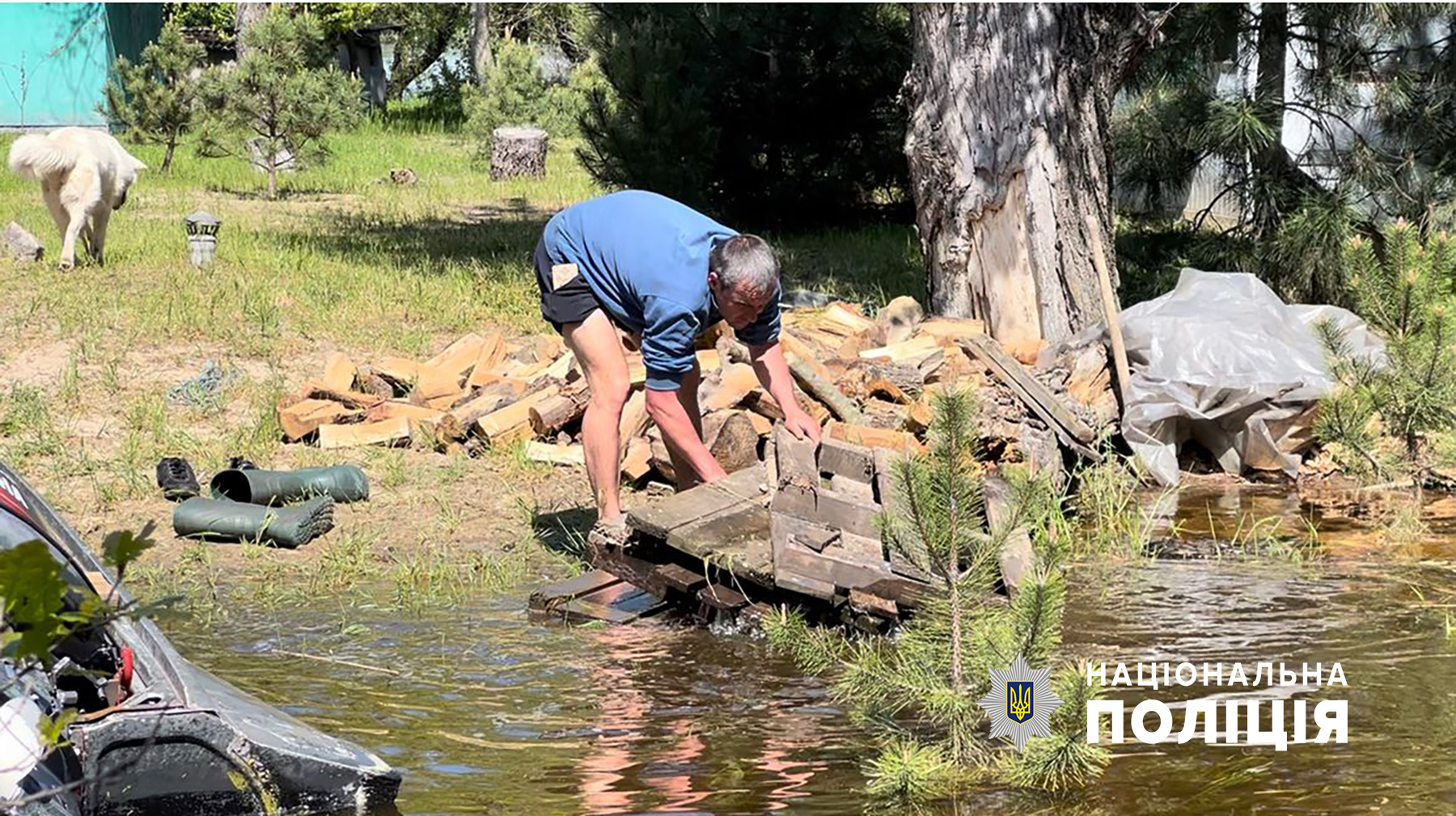 В Запорожской области затопило остров Муравьиный -