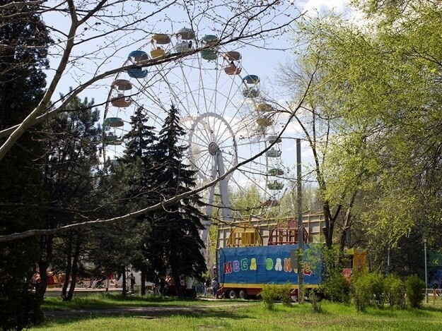 В Дубовой роще лучше никуда не залазить