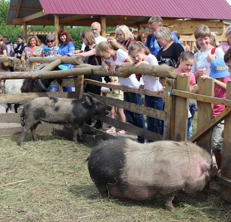 Так много деток было до карантина, сейчас же столпотворений не будет / @quazoopetropol