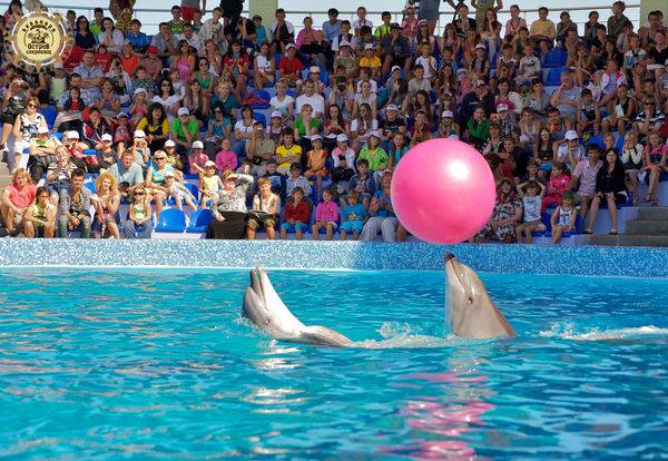 Дельфинарий "Оскар" в Кирилловке / фото со странички дельфинария в Facebook