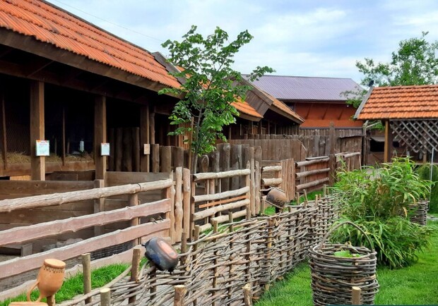 Покрова в Аквазоо - фото из афиши