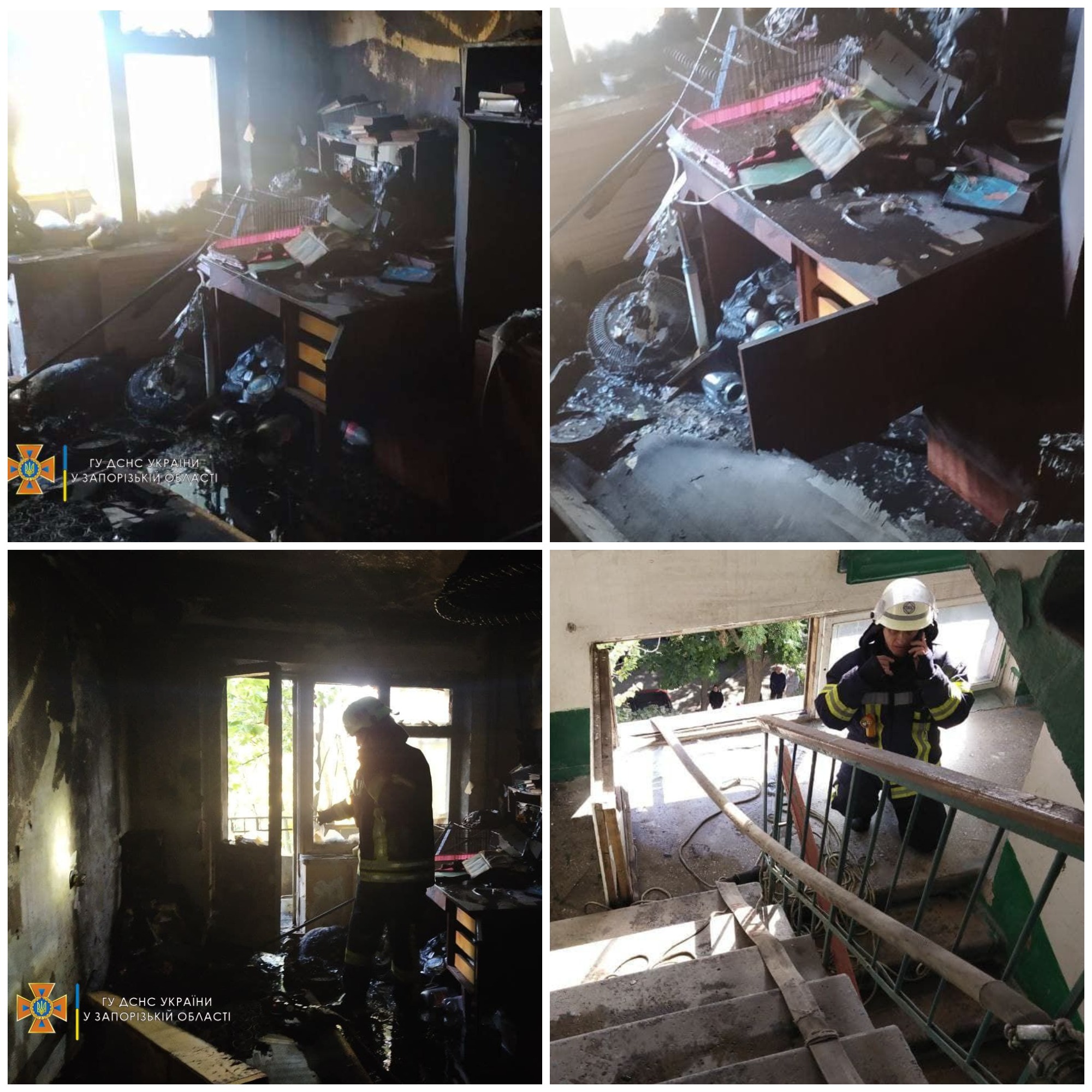 Пожар на Бабурке в Запорожье / фото: ГСЧС