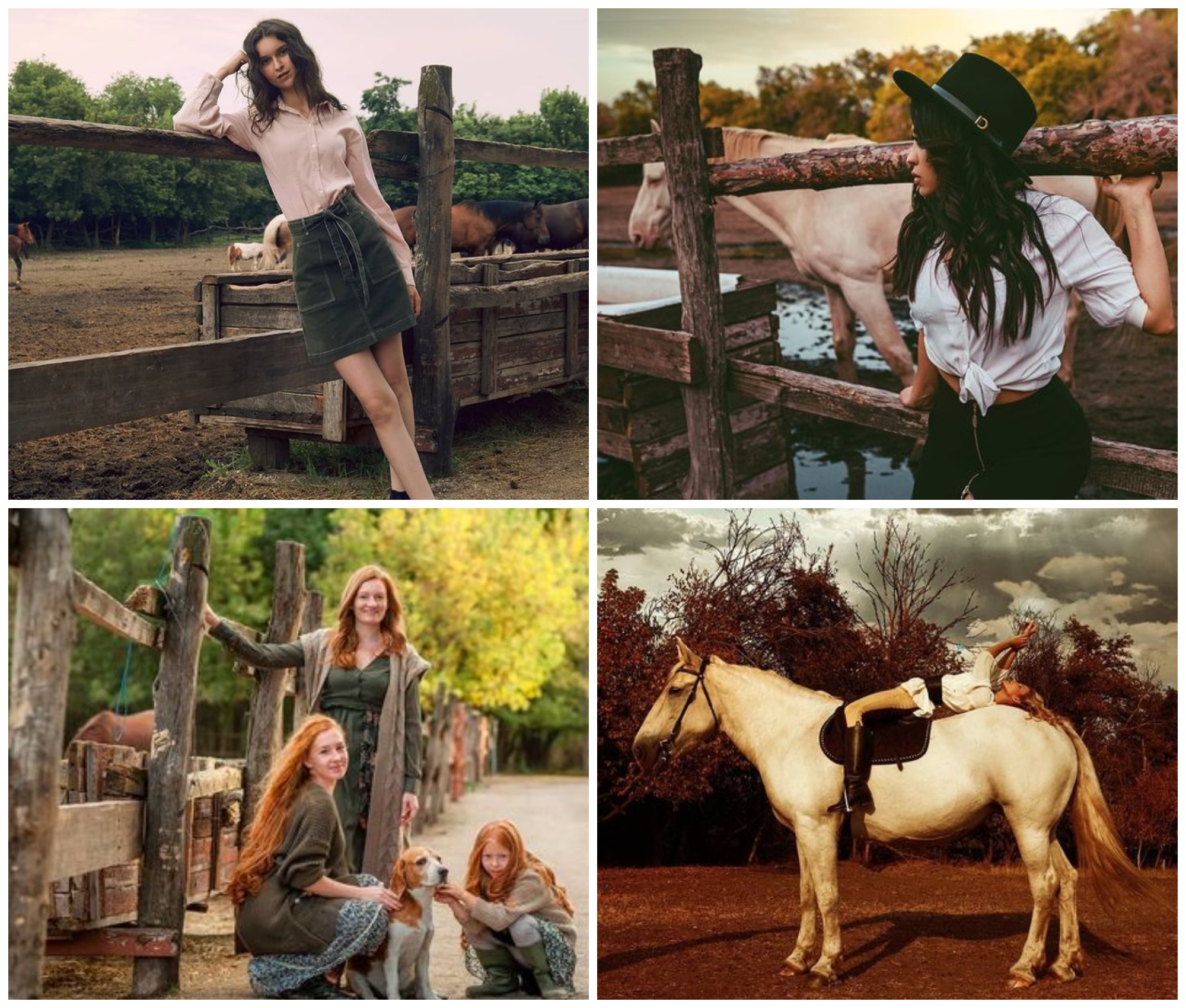 Фото из конного клуба "Патриот" / @your_massa, @jam__1111, @taran.zp.ua,@tandura.photo