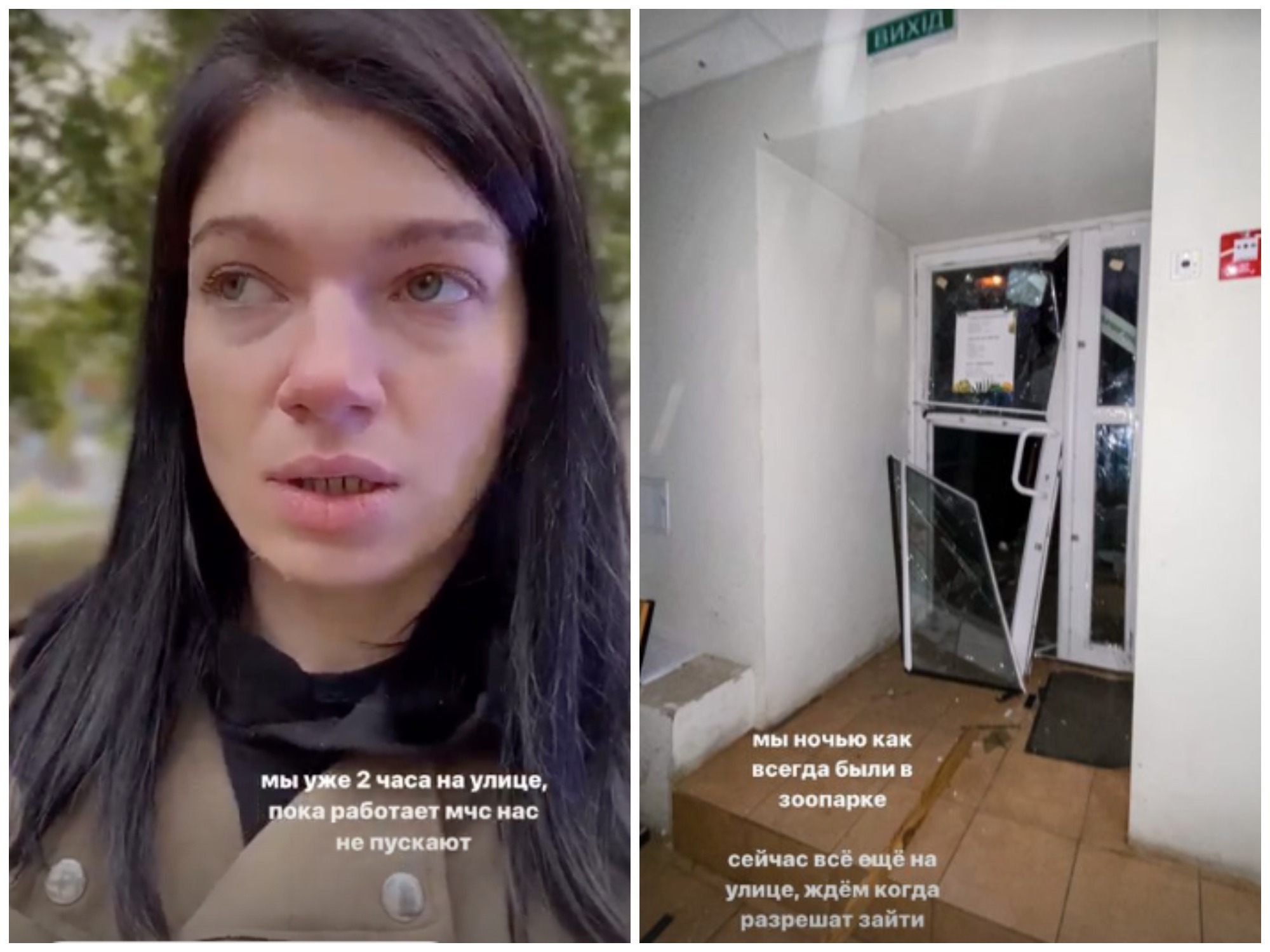 Что с зоопарком на Сталеваров в Запорожье после ракетных ударов - || фото: instagram.com/zooworldds/