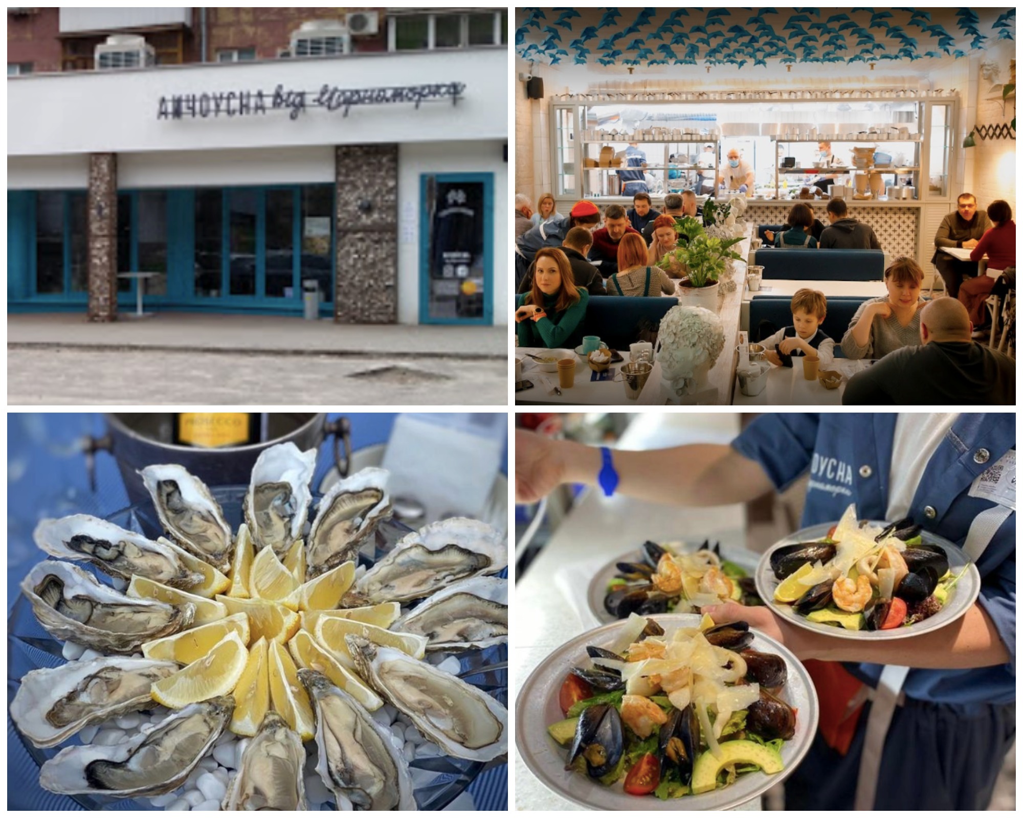 Анчоусная от Черноморки в Запорожье