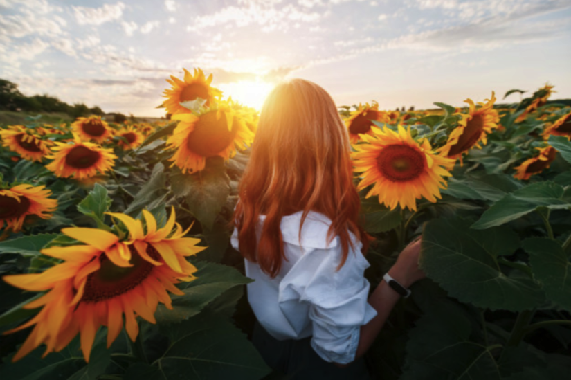 Уикенд Независимости в Запорожье / freepik.com