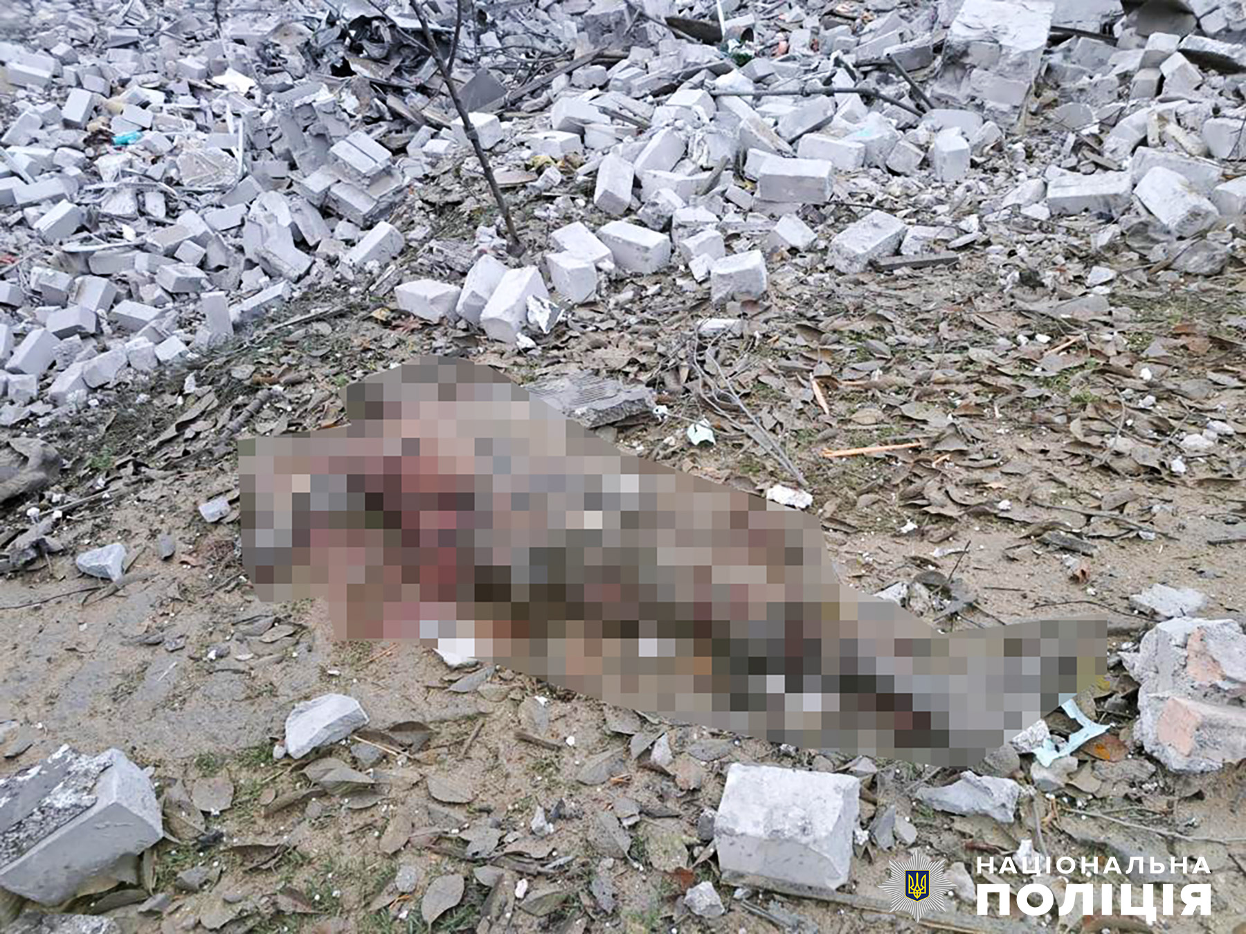 В полиции показали последствия обстрела Вольнянска в Запорожской области -