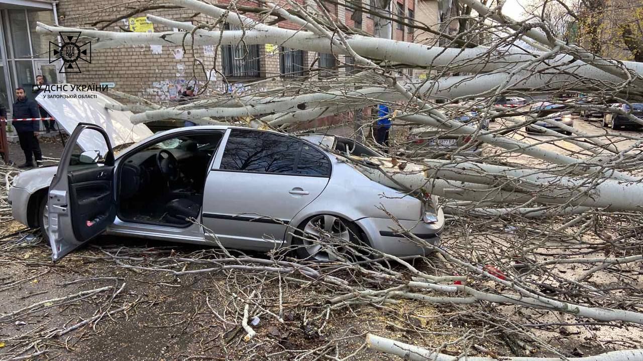 У Запоріжжі дерево впало на чоловіка та автомобіль - || zp.dsns.gov.ua