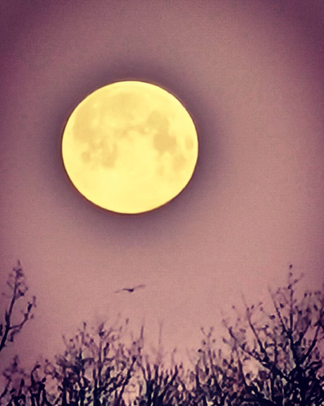 Днепрянин опубликовал фото суперлуния на своей странице в Инстаграм / фото: @udilshik2