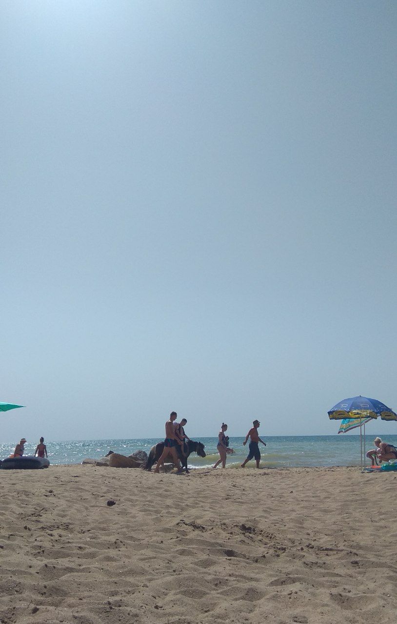 В Приморске зарабатывают на пони / фото: Александра Залозная