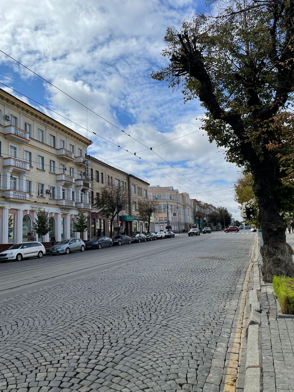 В Виннице дорогу нужно переходить осторожно даже на "зеленый" сигнал светофора / фото: ВГороде