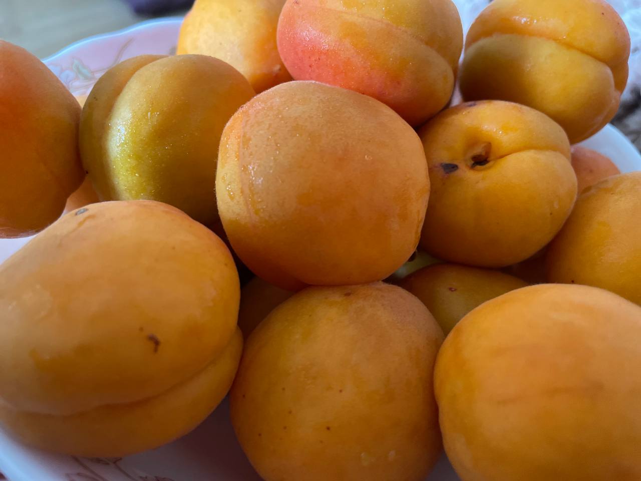 Абрикоси за 120 гривень -