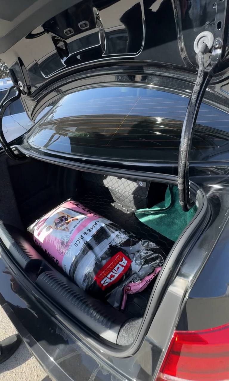 Как помочь убежищу в Запорожье