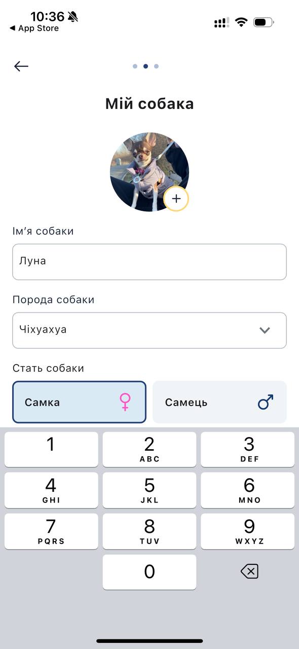 Як виглядає реєстраційне поле