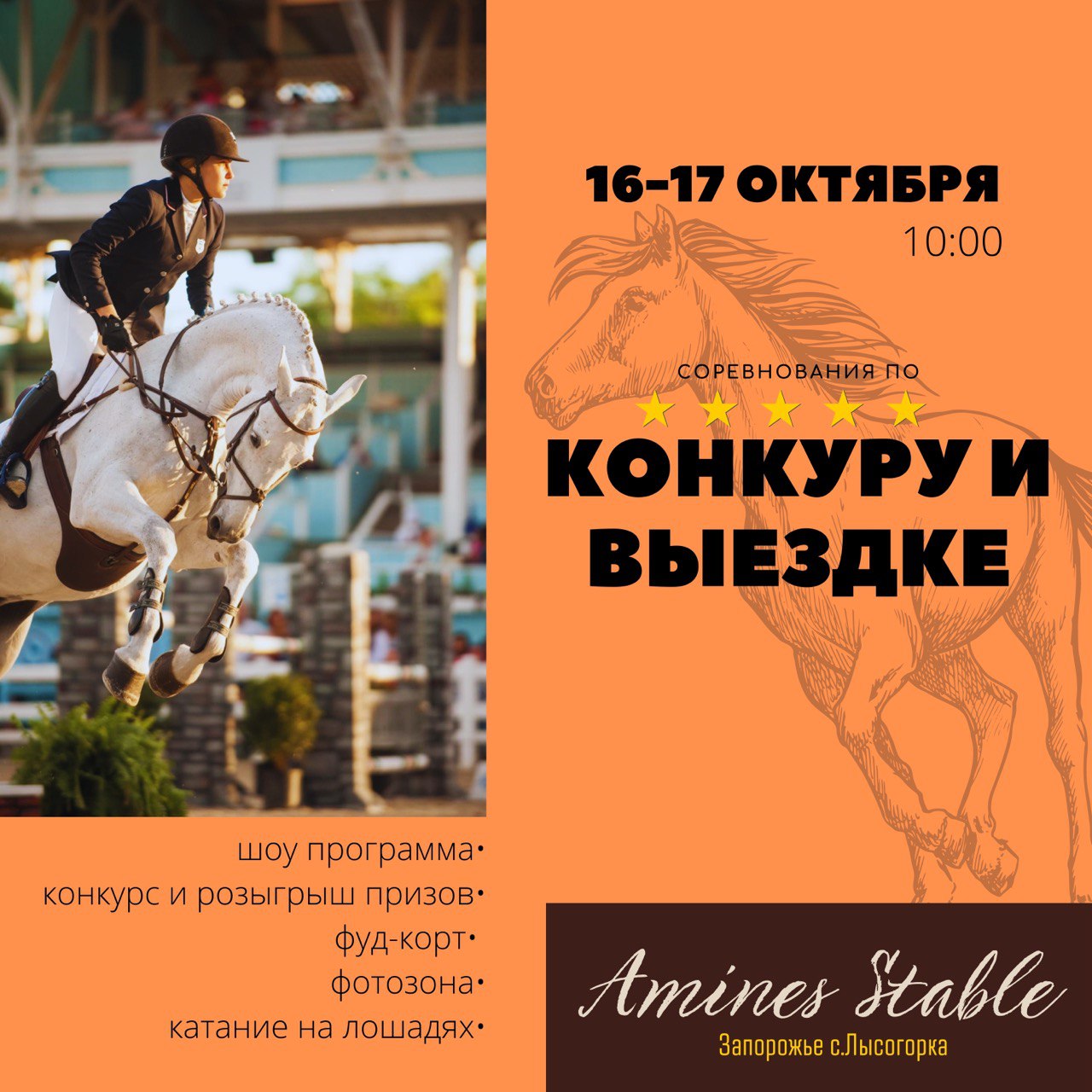 Соревнования по конкуру и выездке фото 1