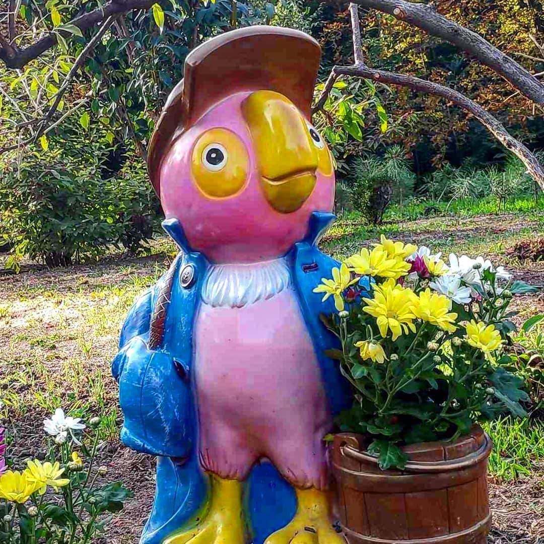 Попугай Кеша. Фото: fb запорожский ботсад