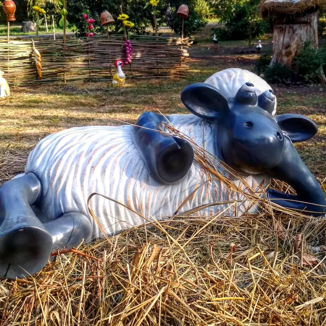 Барашек Шон. Фото: fb запорожский ботсад