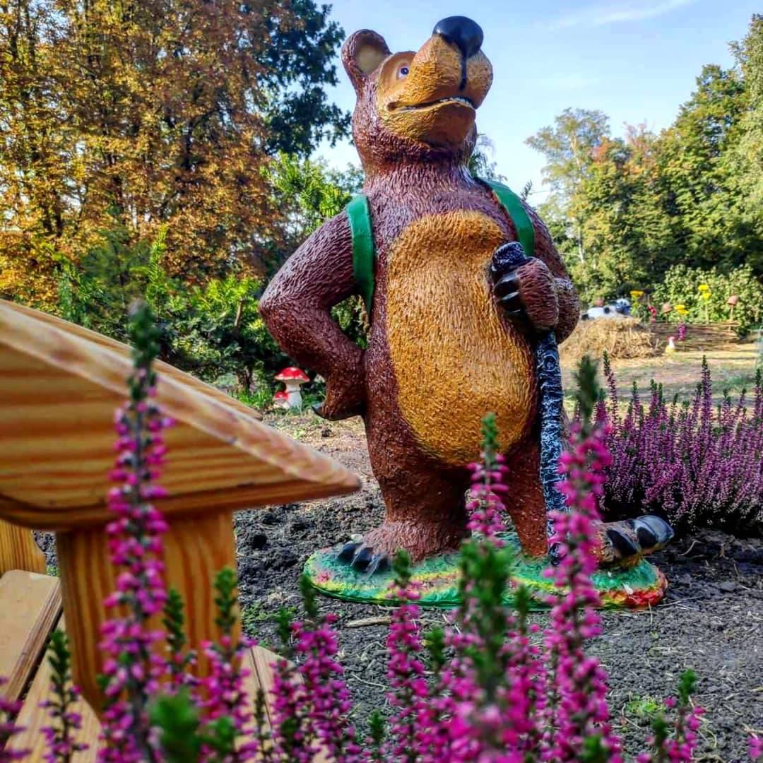 Медведь из "Маша и Медведь". Фото: fb запорожский ботсад